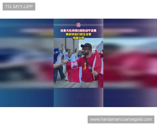 加拿大对阵波黑比赛比分预测分析与赛前专家观点汇总